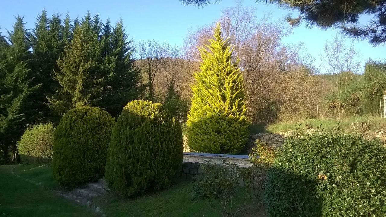 Canigou Lodge Vernet-les-Bains Εξωτερικό φωτογραφία