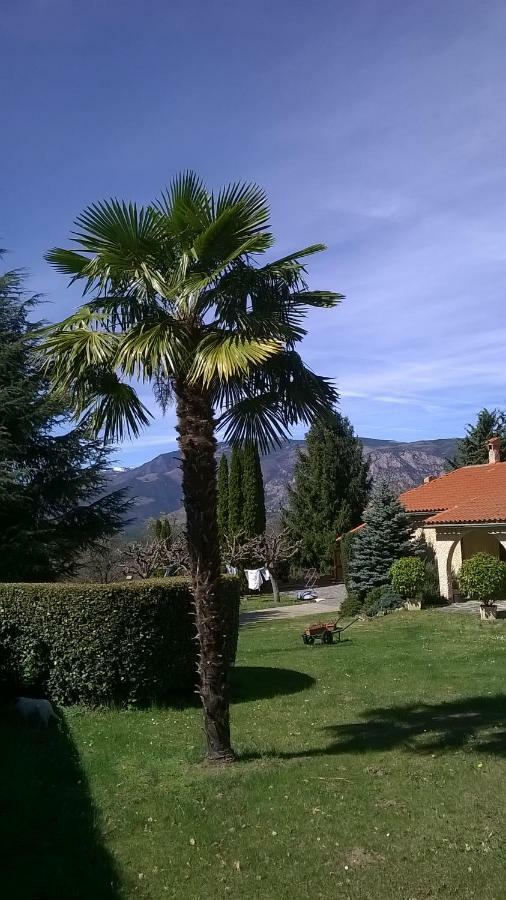 Canigou Lodge Vernet-les-Bains Εξωτερικό φωτογραφία